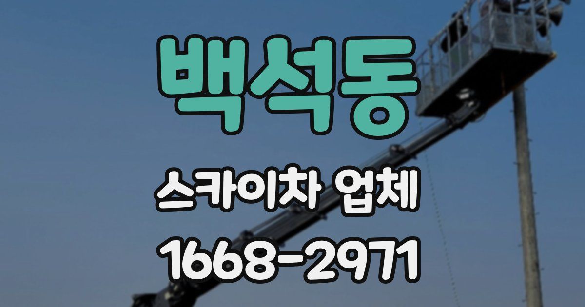 백석동 스카이차 업체