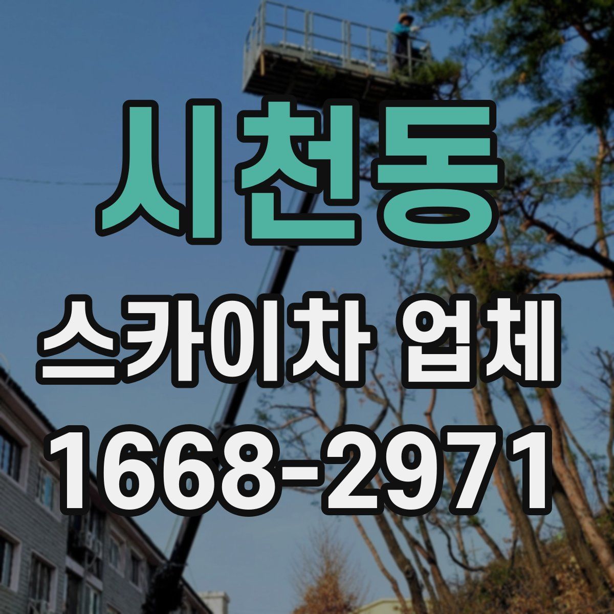 시천동 스카이차 업체