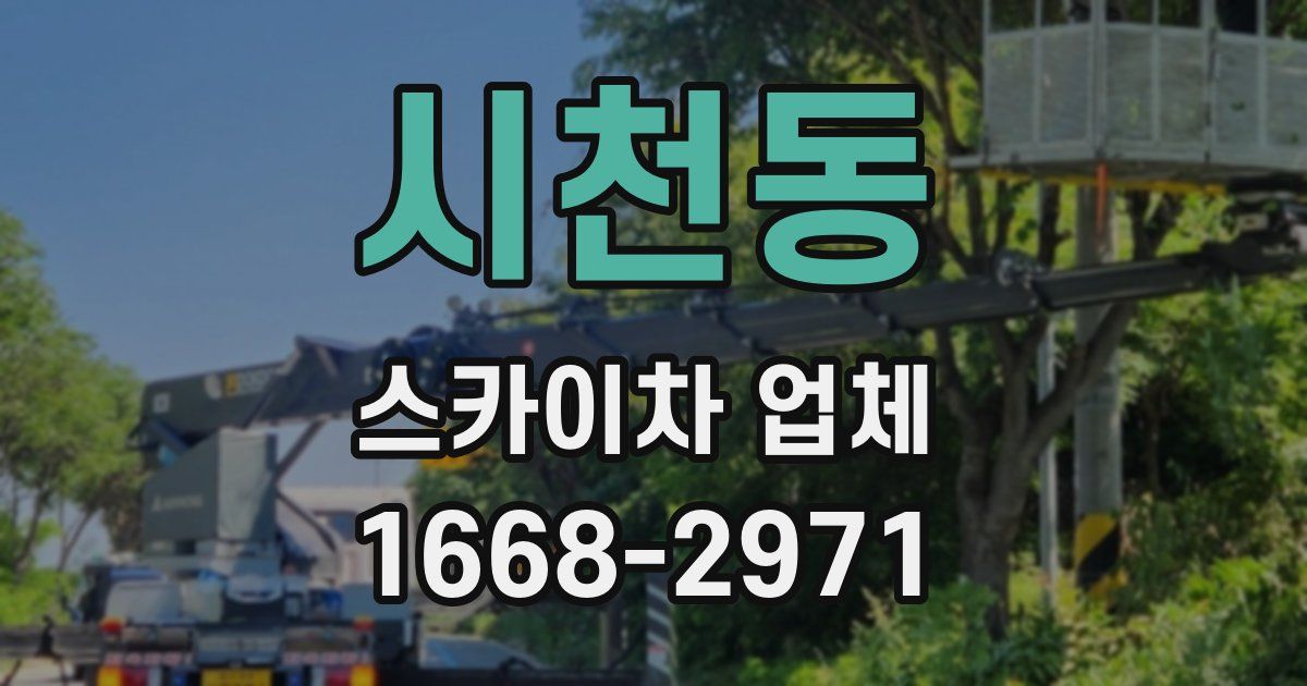 시천동 스카이차 업체