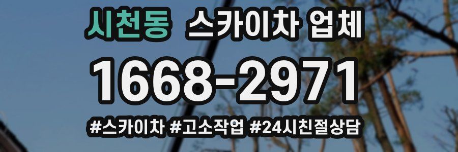 시천동 스카이차 업체