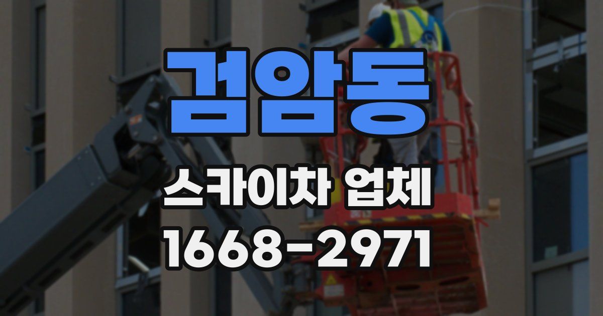 검암동 스카이차 업체
