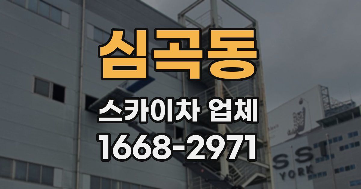 심곡동 스카이차 업체