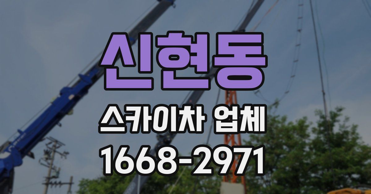 신현동 스카이차 업체