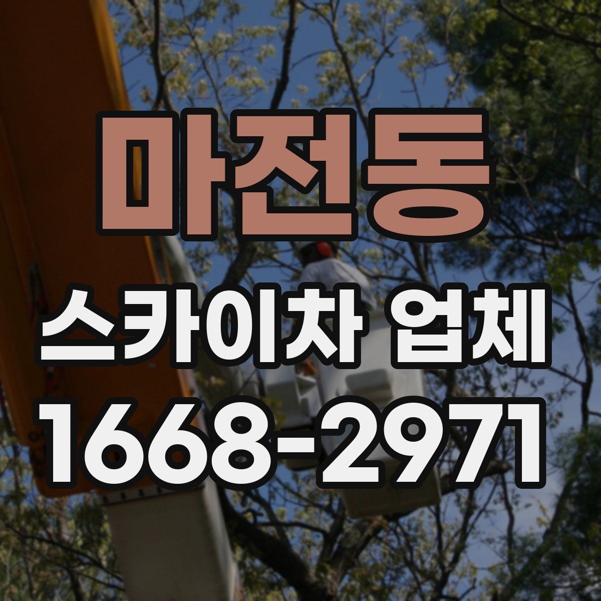 마전동 스카이차 업체