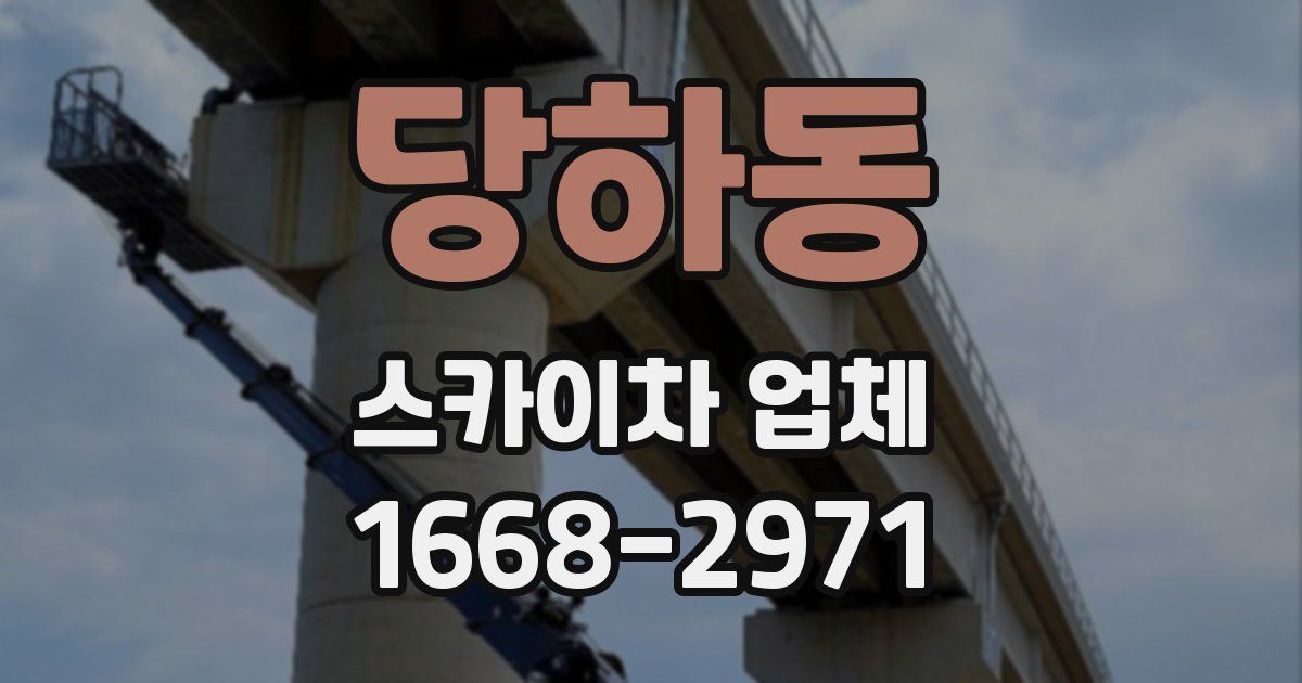 당하동 스카이차 업체