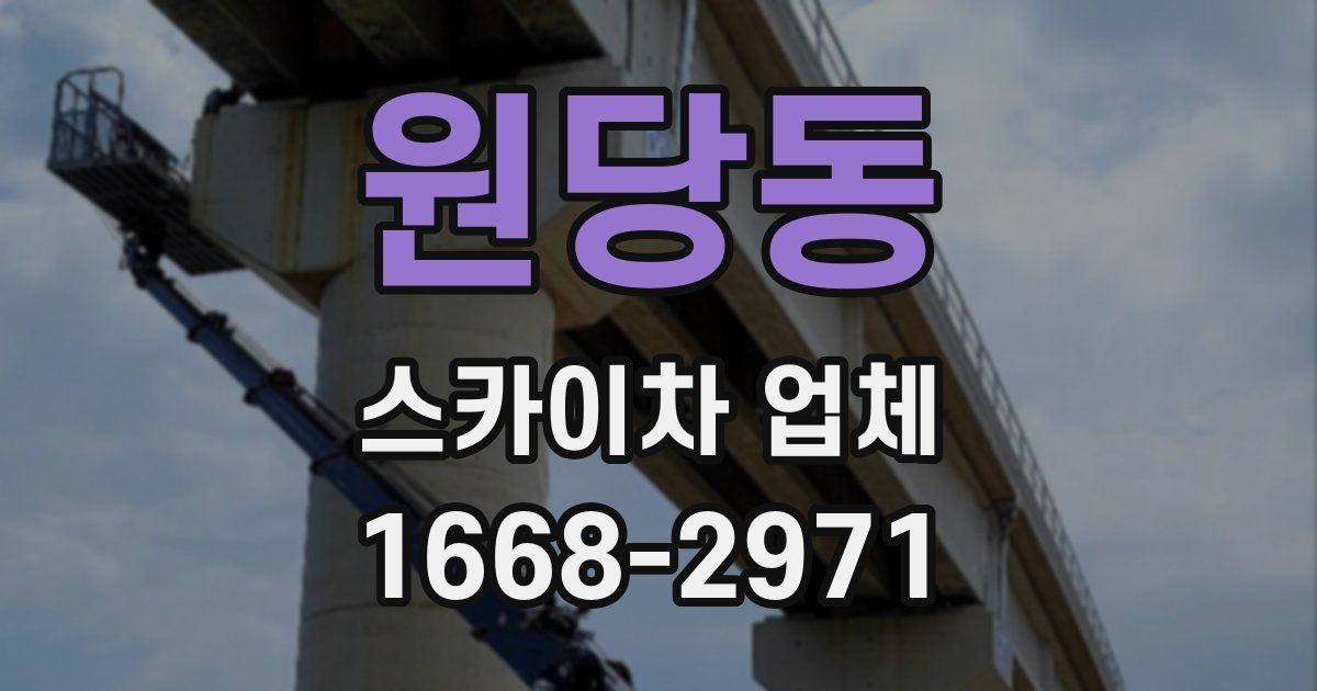원당동 스카이차 업체