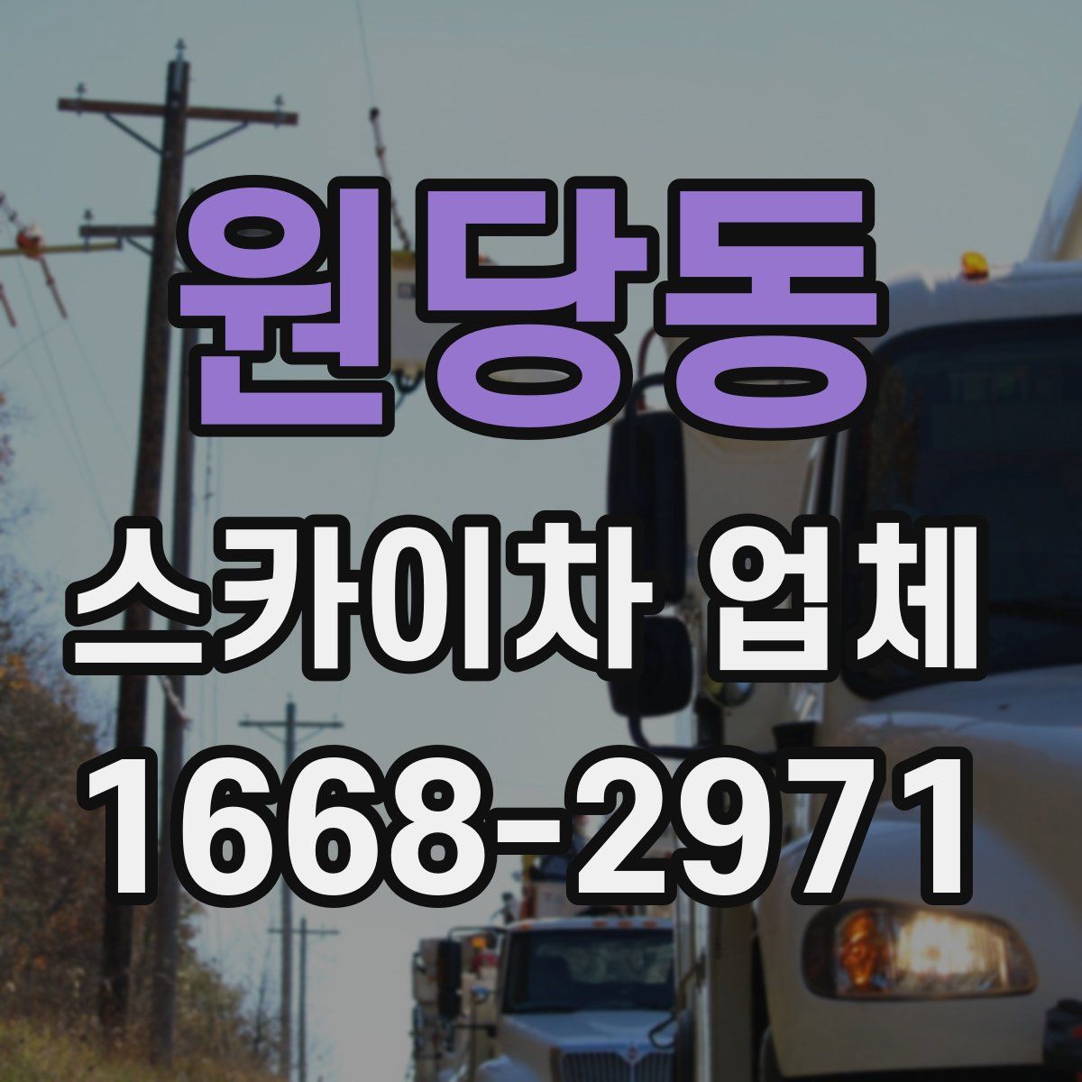 원당동 스카이차 업체