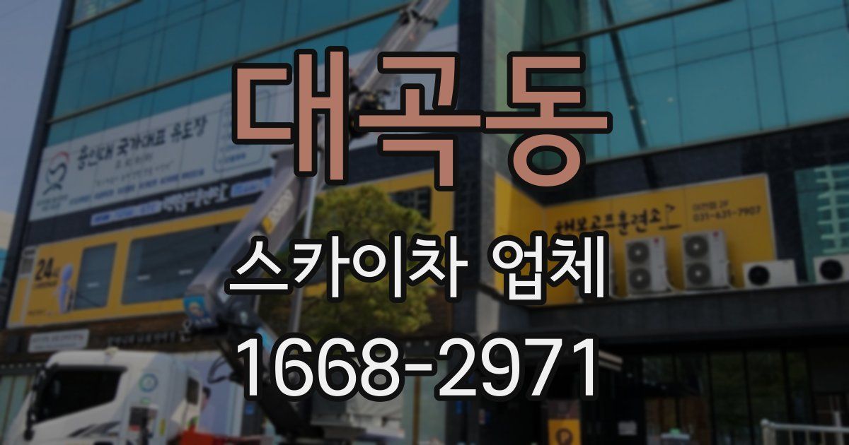 대곡동 스카이차 업체