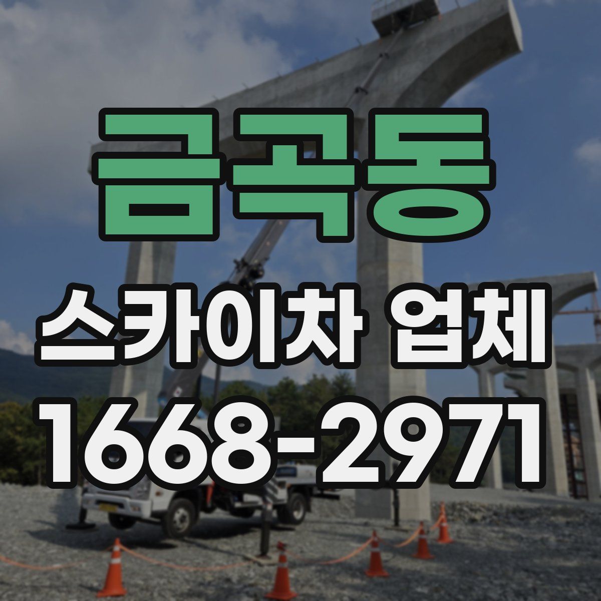 금곡동 스카이차 업체