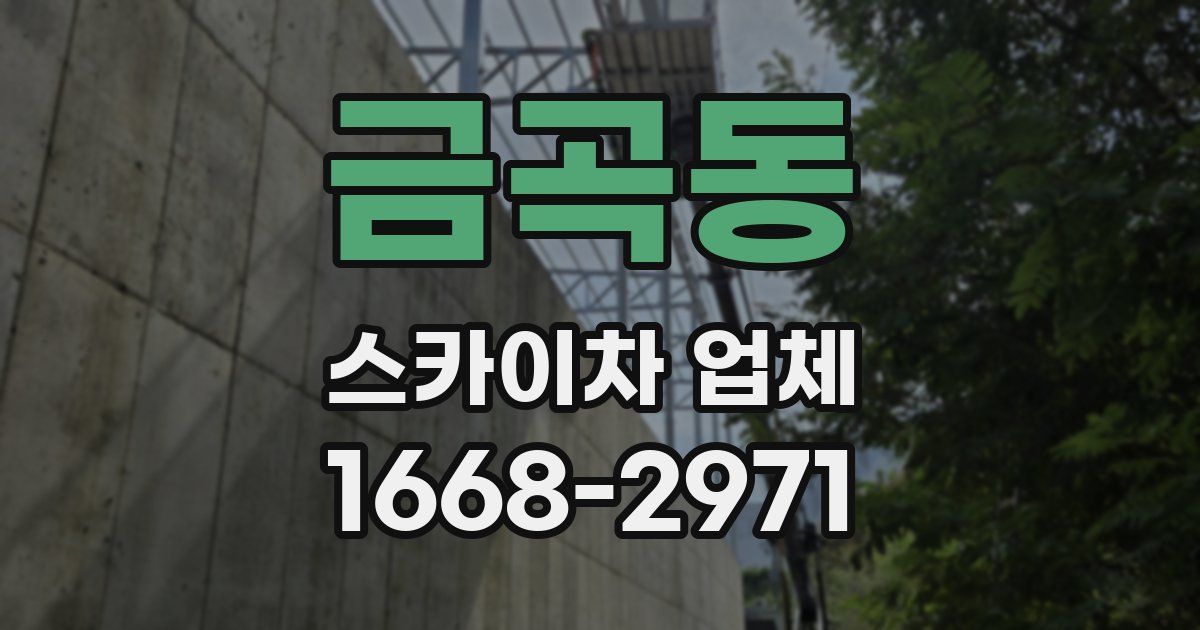금곡동 스카이차 업체