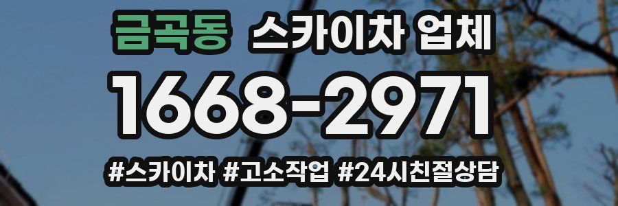 금곡동 스카이차 업체