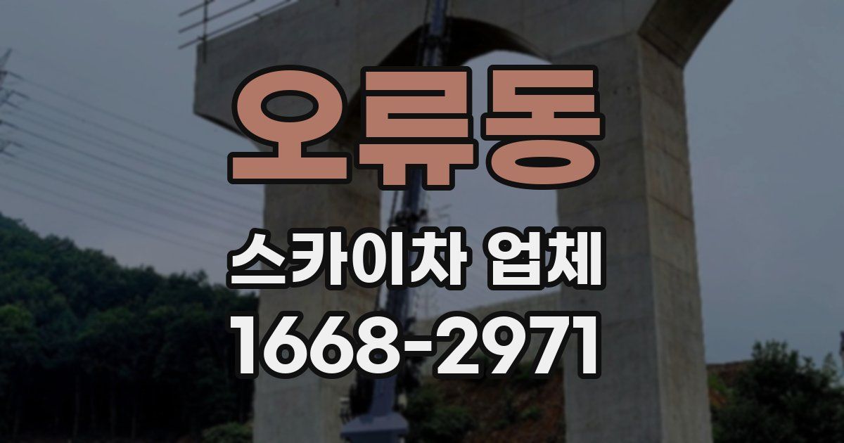 오류동 스카이차 업체