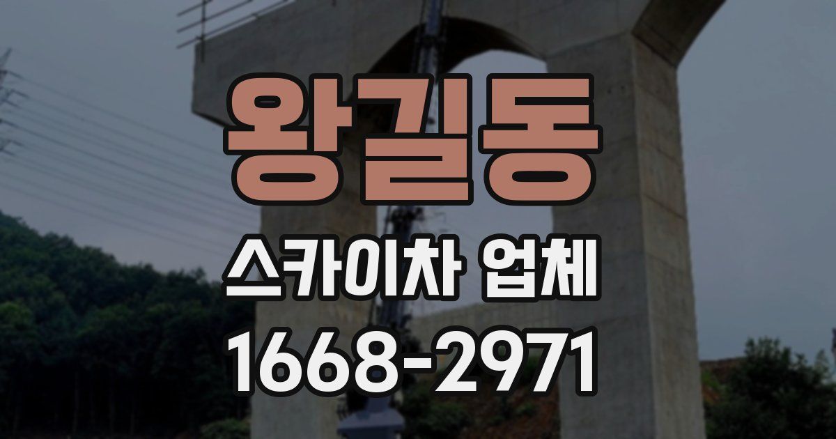 왕길동 스카이차 업체