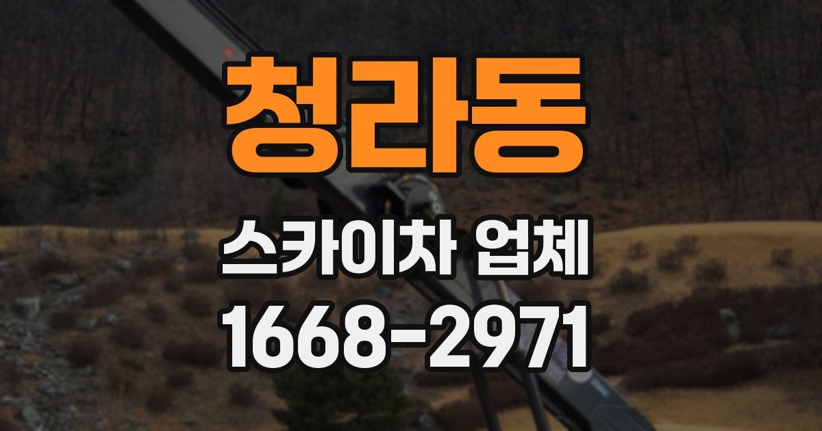 청라동 스카이차 업체