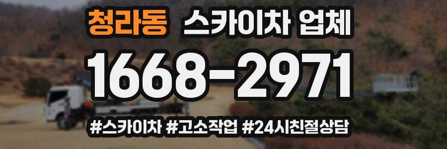 청라동 스카이차 업체