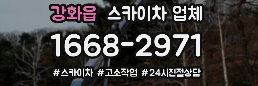 강화읍 스카이차 업체