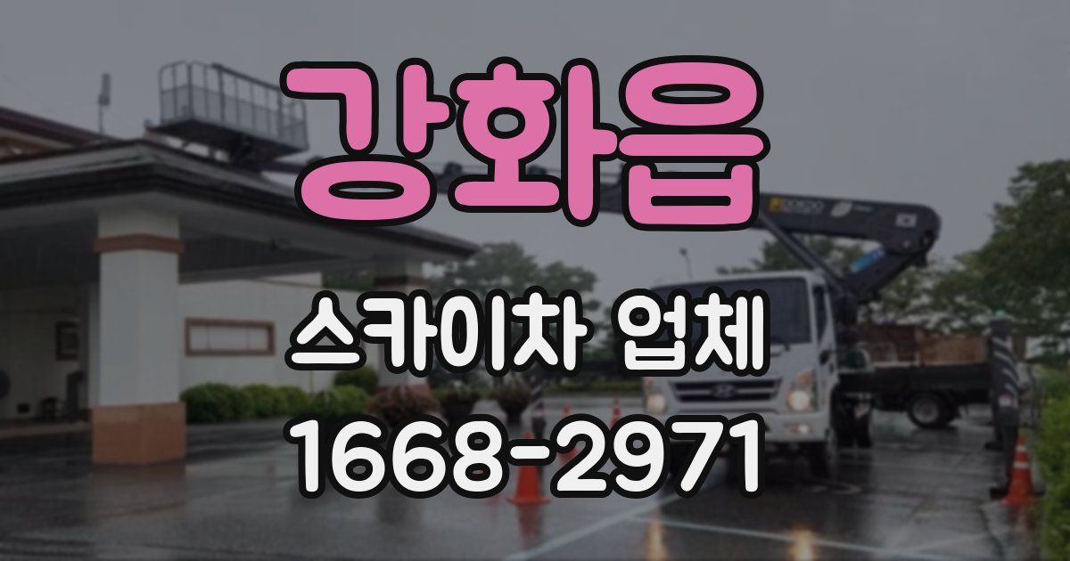 강화읍 스카이차 업체