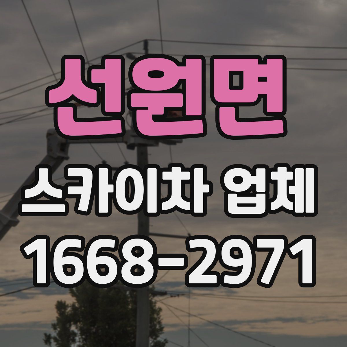 선원면 스카이차 업체