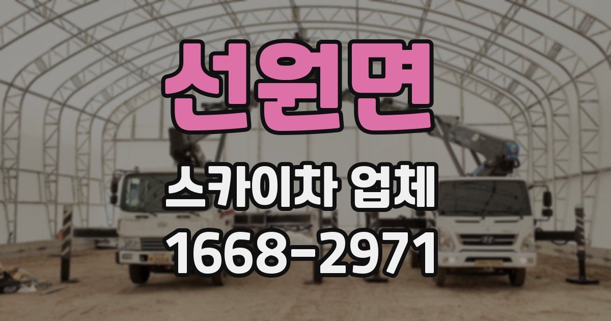 선원면 스카이차 업체