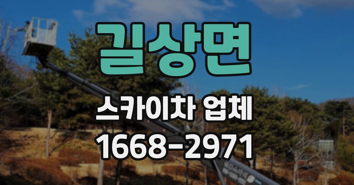 길상면 스카이차 업체