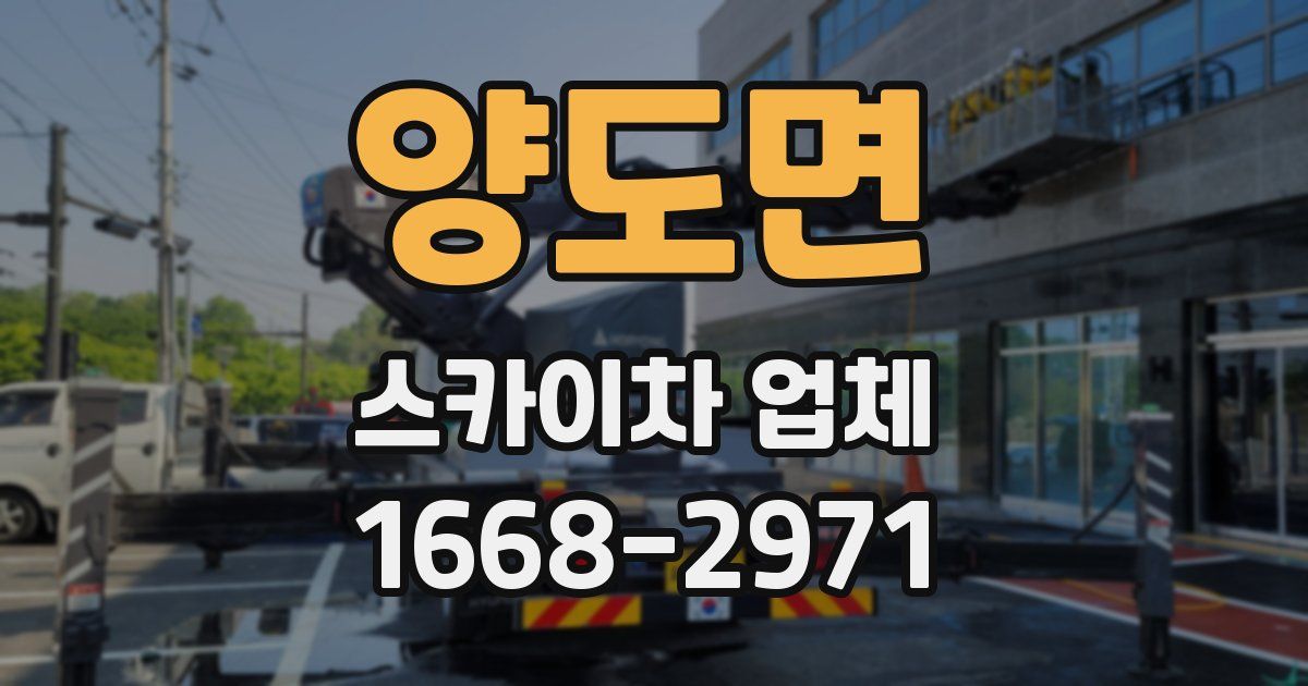 양도면 스카이차 업체