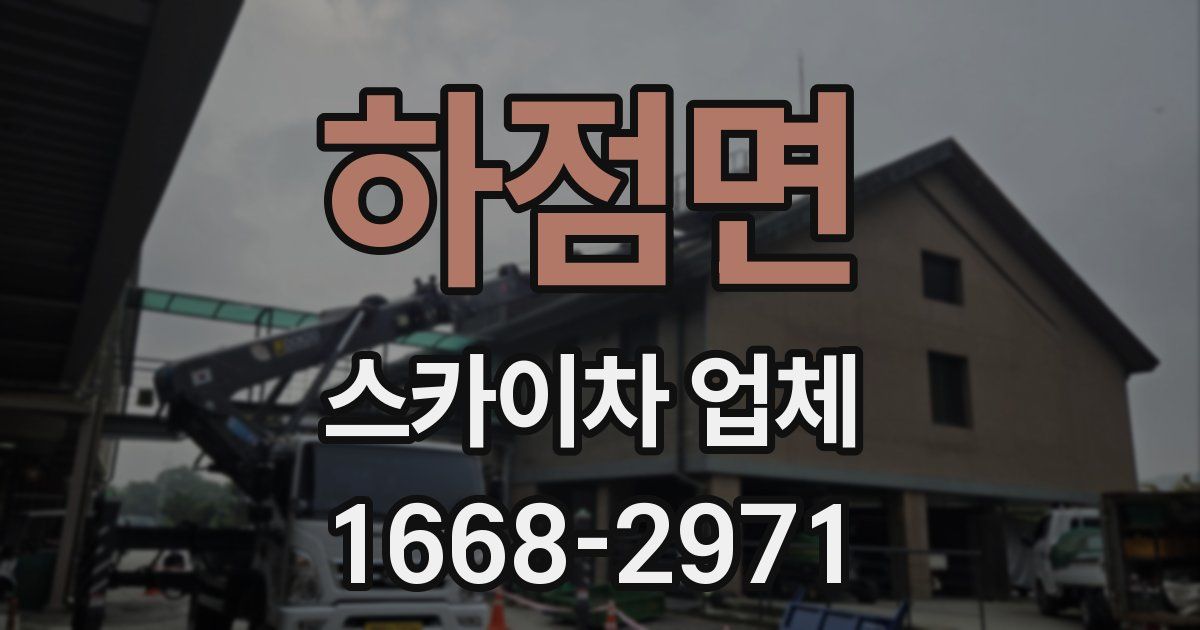 하점면 스카이차 업체
