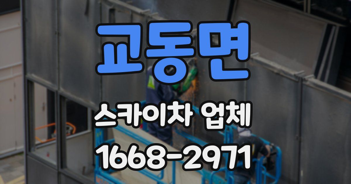 교동면 스카이차 업체