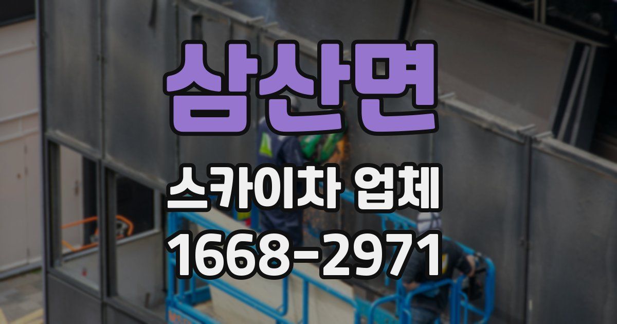 삼산면 스카이차 업체