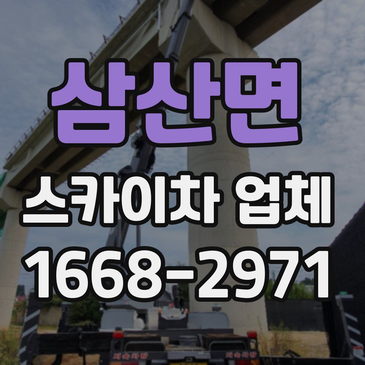 삼산면 스카이차 업체