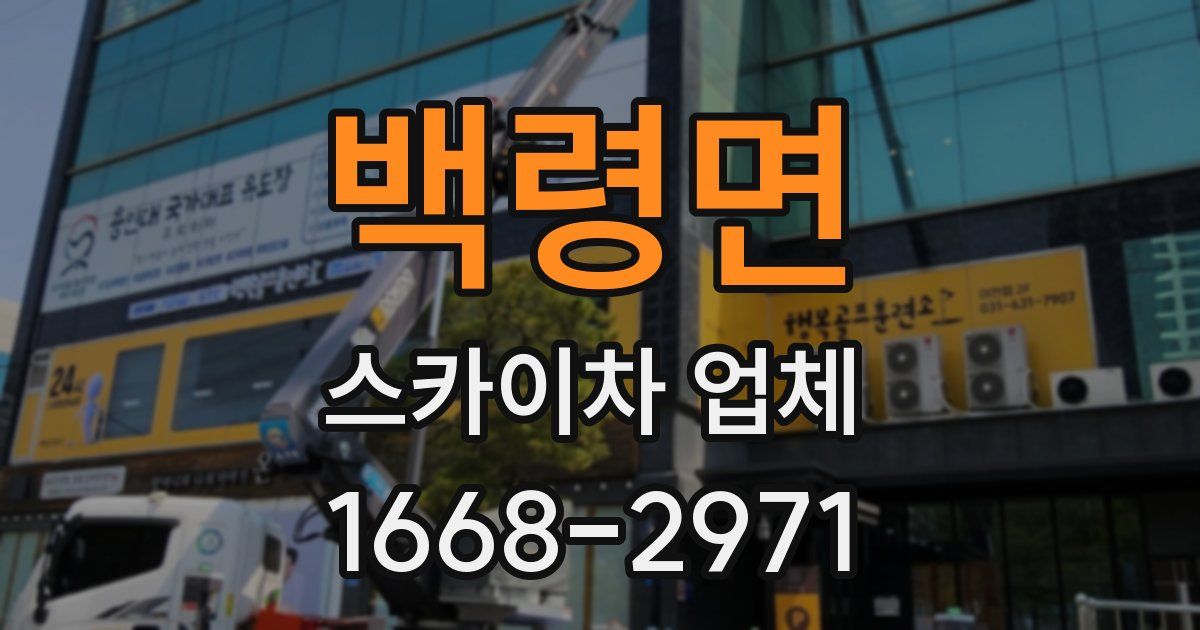 백령면 스카이차 업체