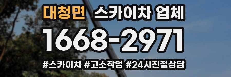 대청면 스카이차 업체