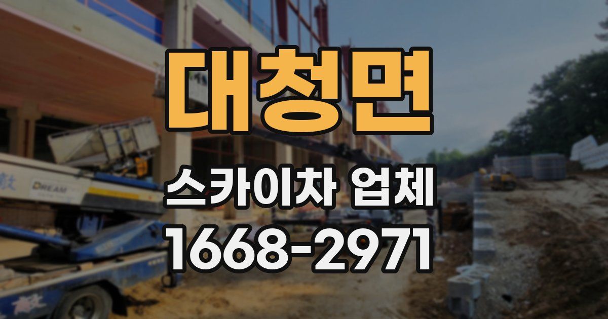 대청면 스카이차 업체