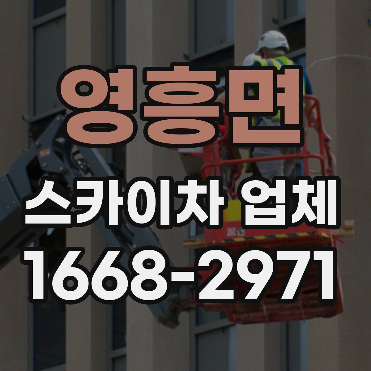 영흥면 스카이차 업체