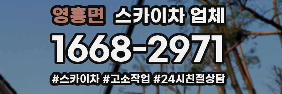 영흥면 스카이차 업체