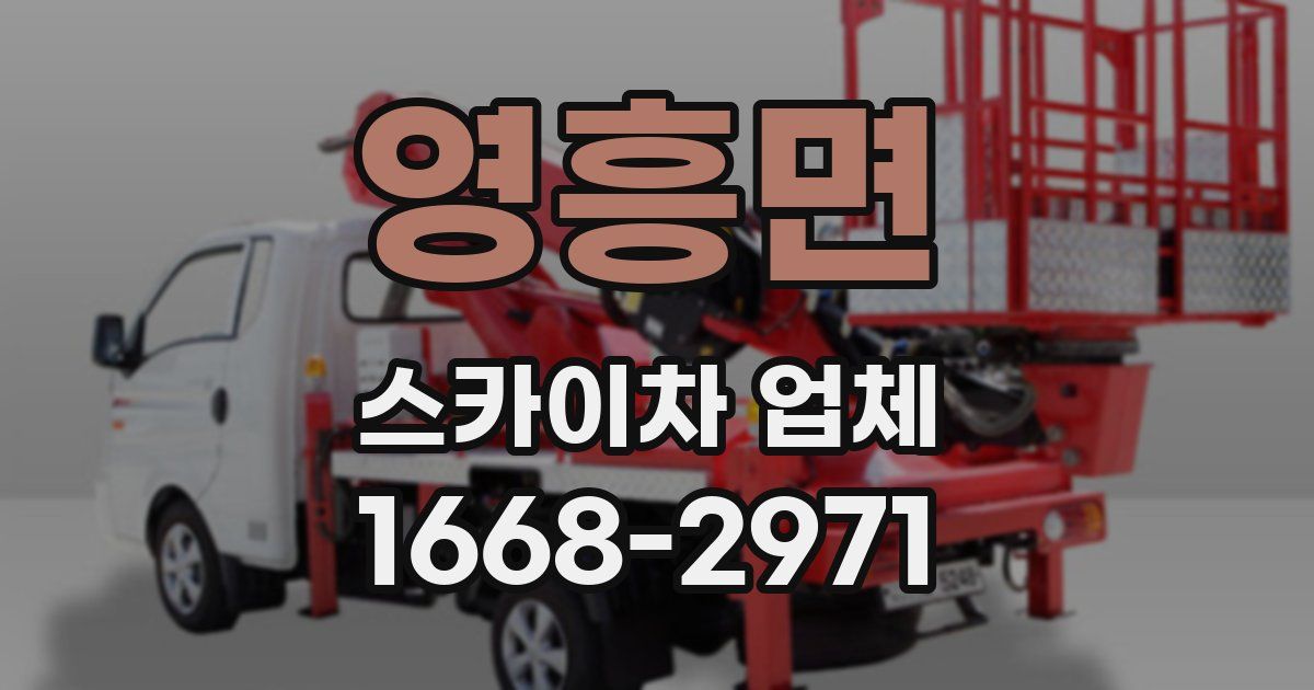 영흥면 스카이차 업체