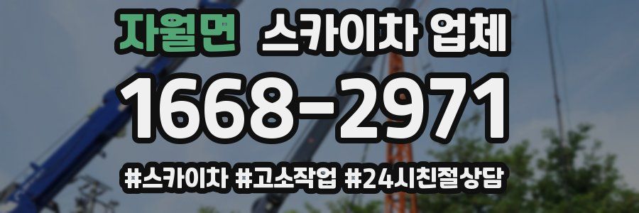 자월면 스카이차 업체