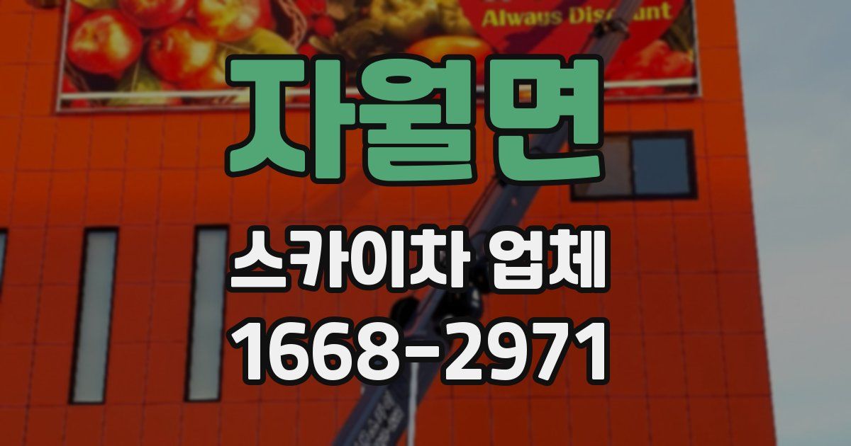 자월면 스카이차 업체