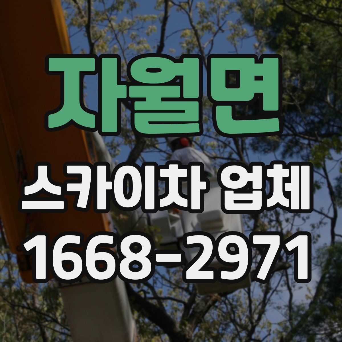 자월면 스카이차 업체