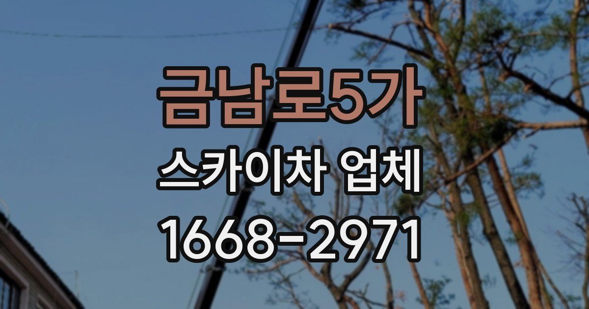 금남로5가 스카이차 업체