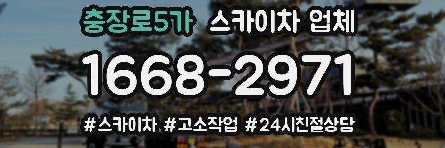충장로5가 스카이차 업체