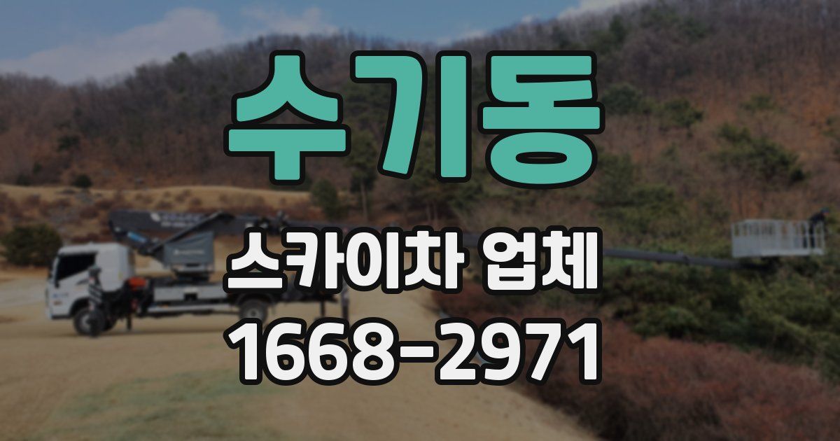 수기동 스카이차 업체