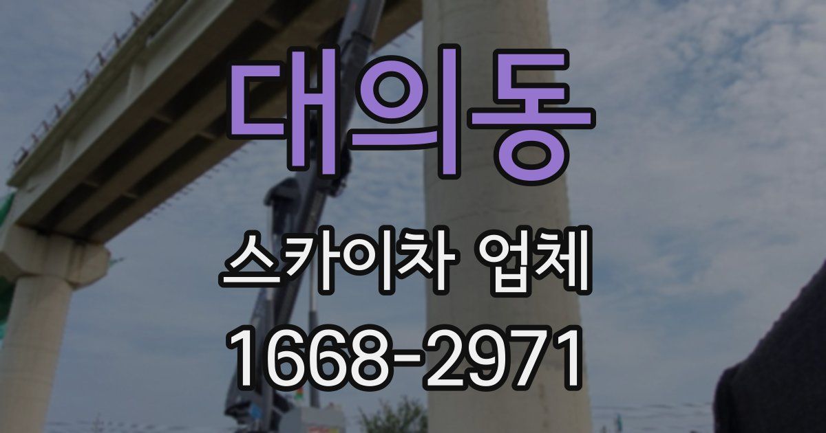 대의동 스카이차 업체