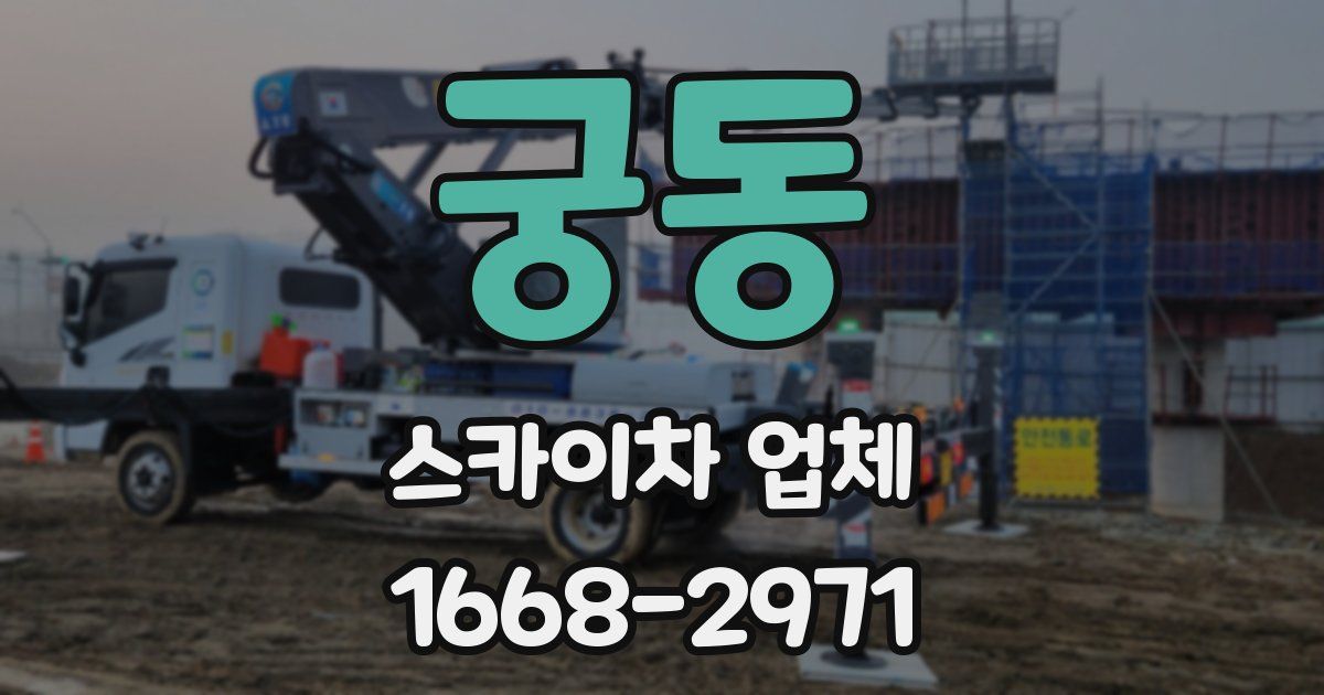 궁동 스카이차 업체