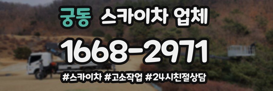궁동 스카이차 업체