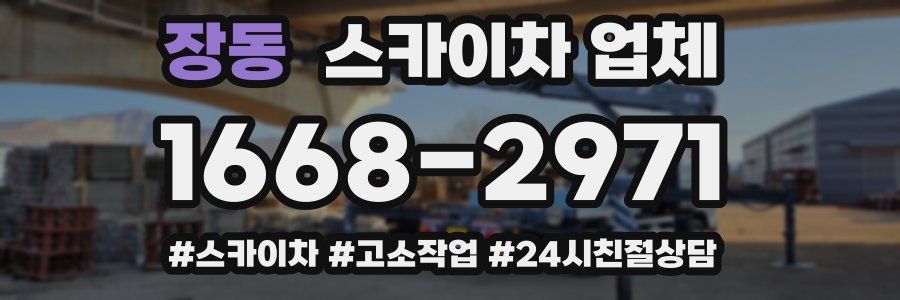 장동 스카이차 업체