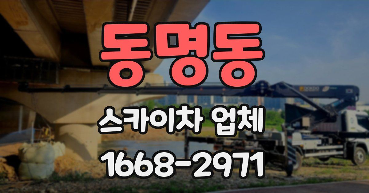 동명동 스카이차 업체