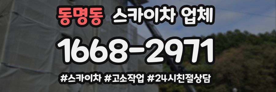 동명동 스카이차 업체