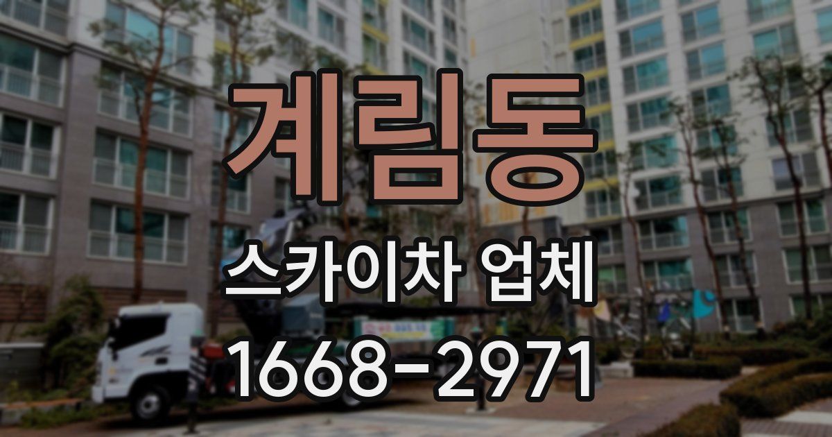 계림동 스카이차 업체