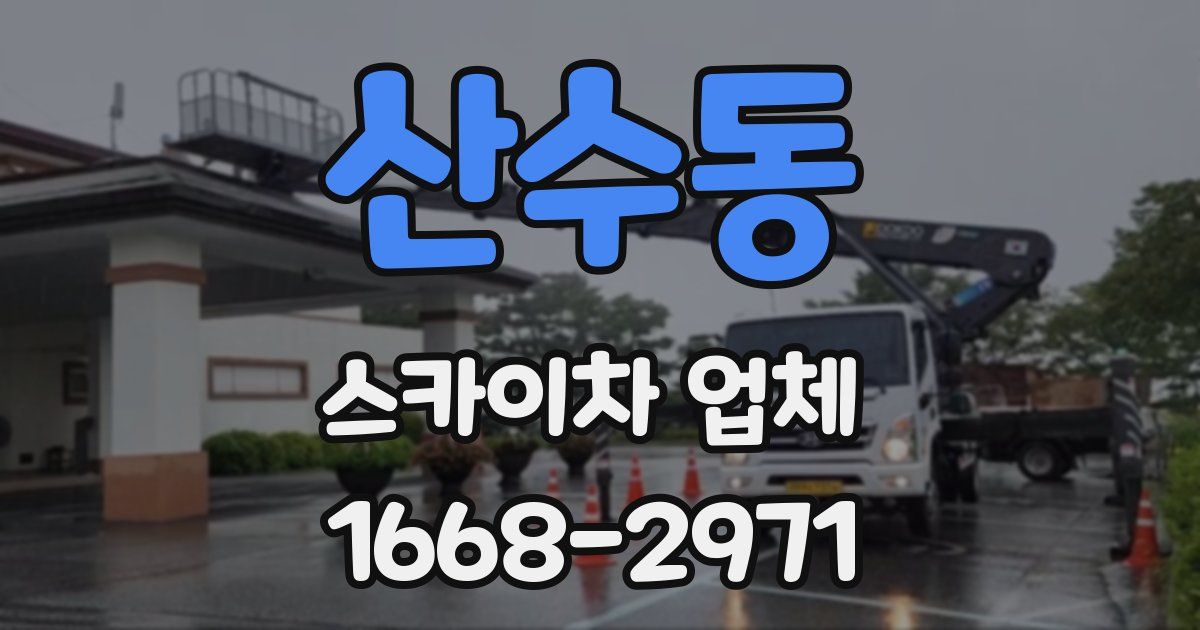 산수동 스카이차 업체