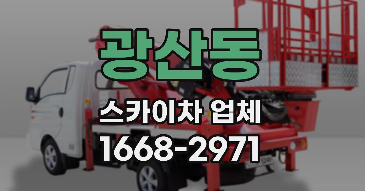 광산동 스카이차 업체